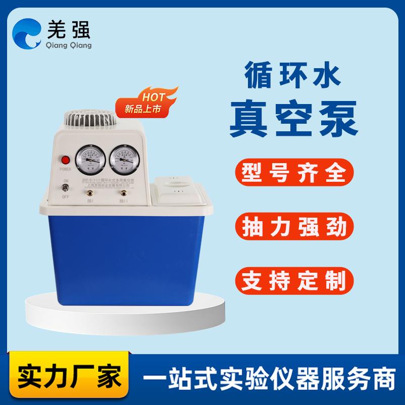 循环水式多用真空泵SHZ-DIII防腐型双表双抽实验室台式多用真空泵