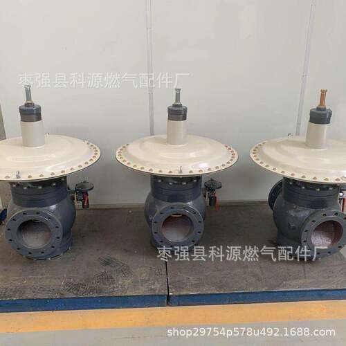 道Q式工业天然气沼气稳压阀燃气压阀大调压器RTZ-A8宝纪管0流量
