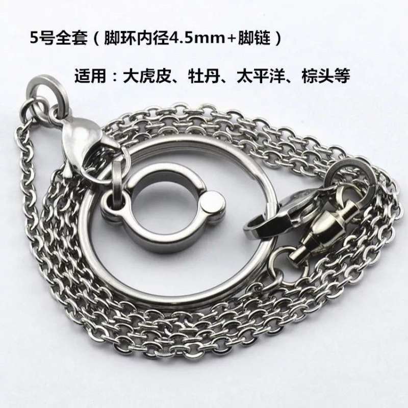 不锈钢大型鸟类链 鹦鹉脚链 开口活动脚环 鸟类站架配链 鹦鹉用品