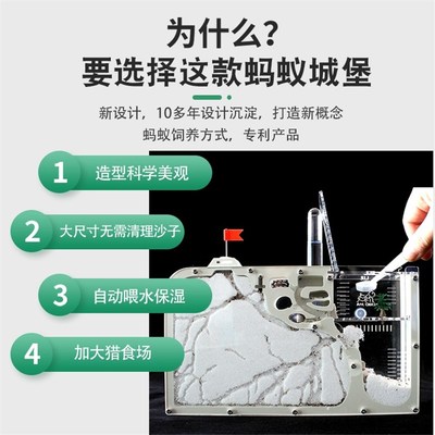 蚂蚁城堡 工坊学生小宠物送蚁后群生态沙土巢沙堡蚁巢窝家园王国