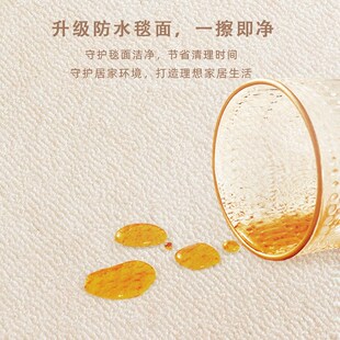 抽象线条轻奢高级感地毯客厅极简奶油风免洗沙发茶几地垫2024新款