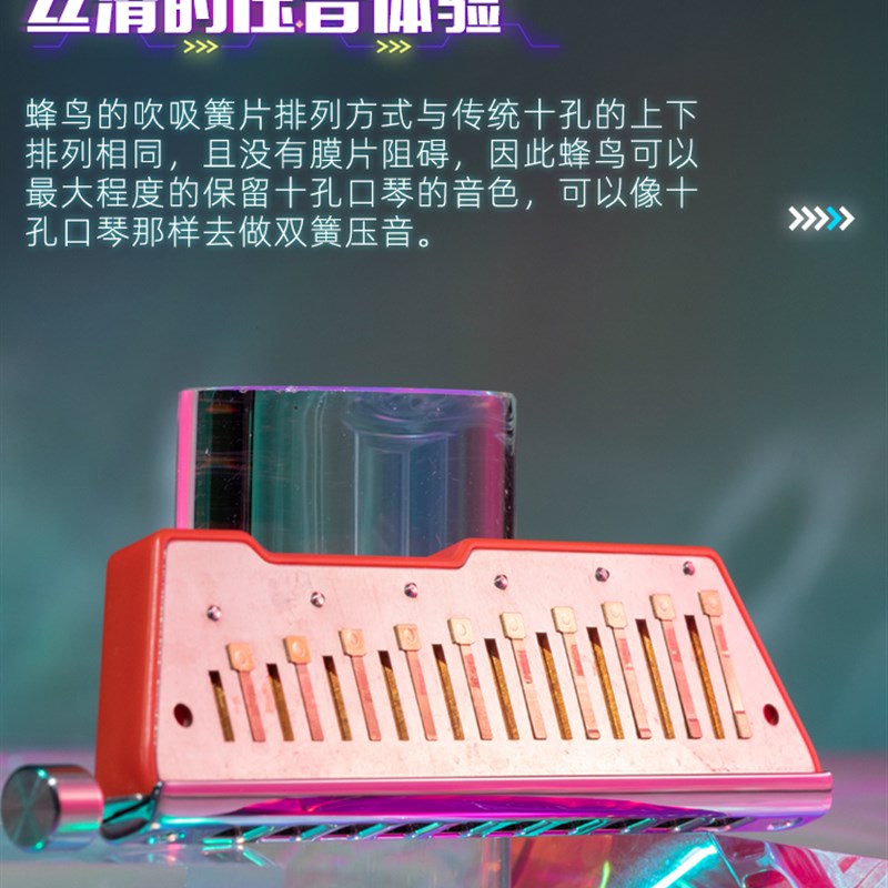 笨笨口琴2024年新款十孔半音阶蜂鸟儿童成人初学进阶演奏高端