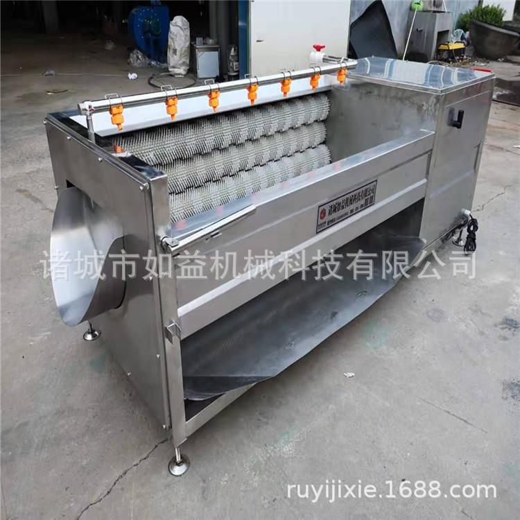 硬毛刷猕猴桃去皮机干净彻底猕猴桃去皮清洗机猕猴桃果脯加工机