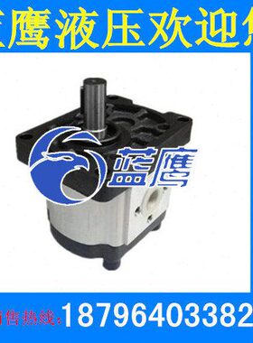 CBTt-F304/F306/F308/F310/F312/F314/F316/F320/F325F3P7齿轮泵