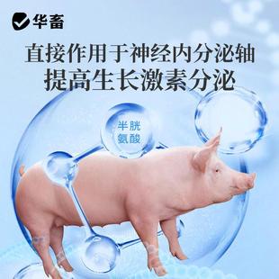 华畜核能肥猪增肥肥霸兽用催肥育肥宝猪牛羊诱食促生长小猪预混料