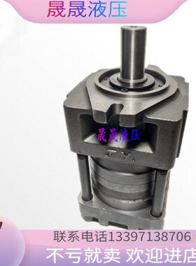 上海C8啮合内4F /0T共轭FCTN齿C100-航-泵-412直齿轮泵NT4发5F /N