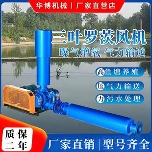 华博三叶罗茨鼓风机 鱼塘增氧物料输送污水处理曝气高压鼓风机