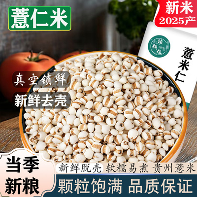 新鲜小薏米500g真空包装薏仁米