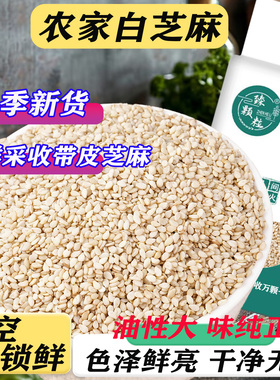 真空新鲜带皮生白色芝麻不苦农家新货干净无沙商用烘焙榨油原料