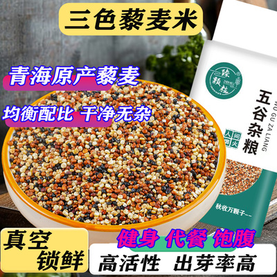 真空青海优质三色藜麦健身糙米饭