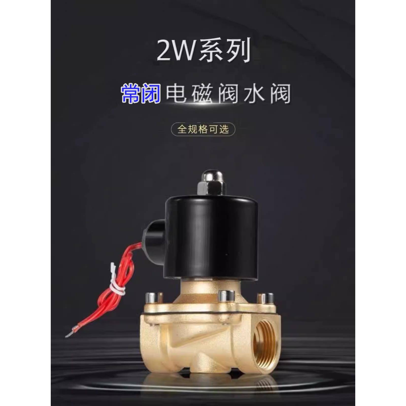 余姚BOPU博普电磁阀2W-160-15/220V两位两通常闭水阀25324050/24V