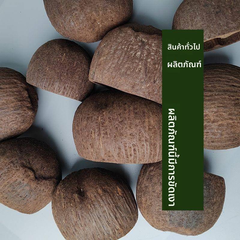 印尼天然果壳手摇铃配件散装纯手工制作风铃挂件果壳铃包挂件DIY