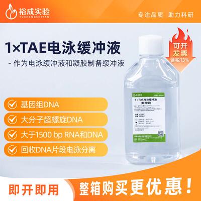 裕成实验YC2007 1x TAE电泳缓冲液即用型试剂 DNA电泳缓冲液1L装