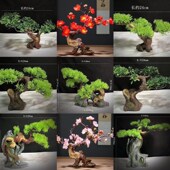 酒店刺身摆盘装 h饰水族鱼缸造景石头假山创意迎客松摆件仿真装 饰