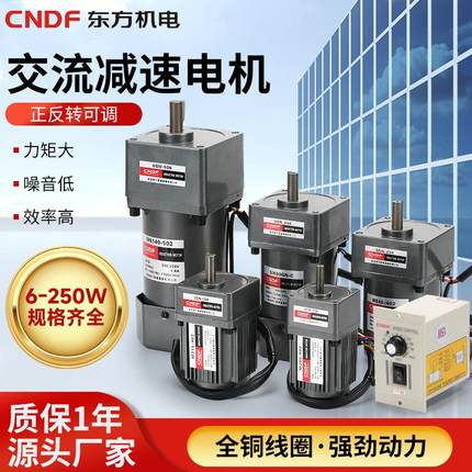 CNDF东方微型减速电机6W-200W调速电机交流齿轮电动机送调速器