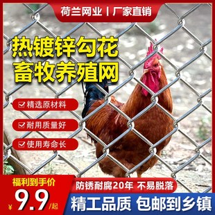 养鸡勾花网养殖围栏铁丝网果园防护隔离栅栏镀锌S丝菱形网格护栏