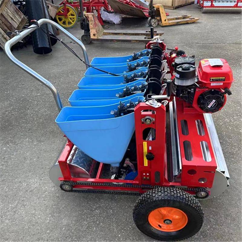 2024新款元胡贝母播种机汽油机拖拉机式牵引机手推6行农用精播机