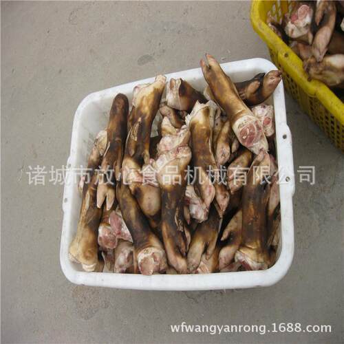 小型猪头清洗机价格毛刷辊清洗机生产厂家羊头羊蹄毛刷清洗机
