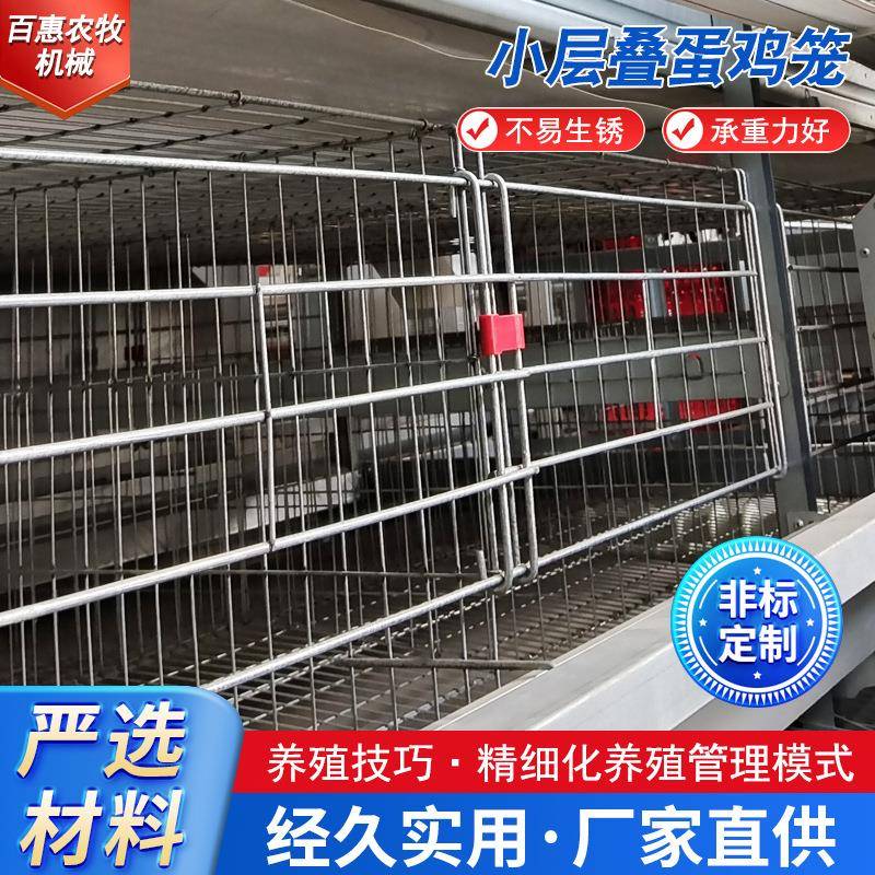 小层叠蛋鸡笼养鸡设备立体式阶梯式蛋鸡笼好管理备育雏笼推荐