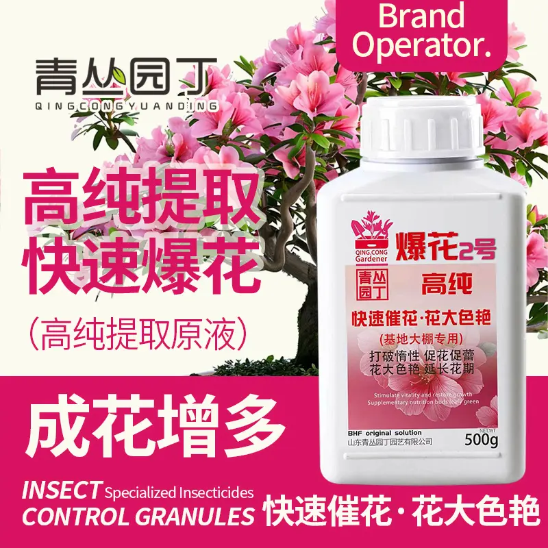 青丛园丁爆花粉2号开花促进花