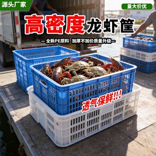 龙虾筐运输筐周转筐框水产养殖筐白色龙虾筐镂空熟胶筐周转虾苗筐