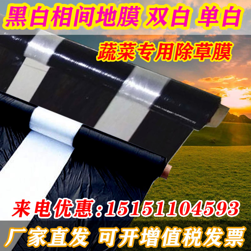黑白相间地膜双白单白种植蔬菜药材建筑膜农用地膜
