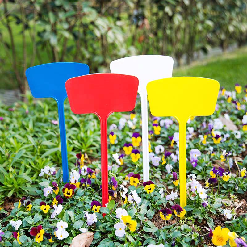 大面插地牌 农业园艺加厚标记牌 花卉植物园艺防水标识牌连体牌