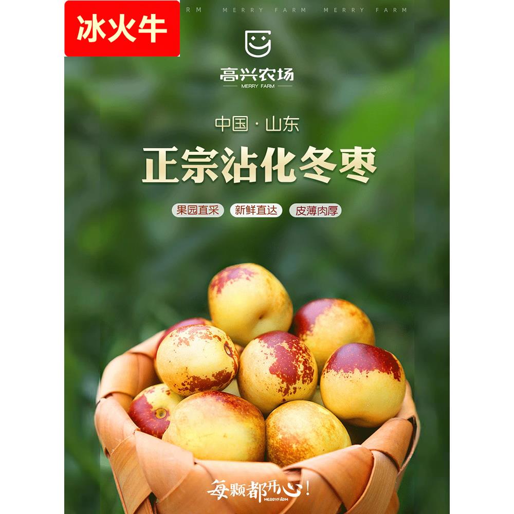 顺丰山东沾化冬枣新鲜大枣水果枣子5斤当季冰糖特大甜脆红枣