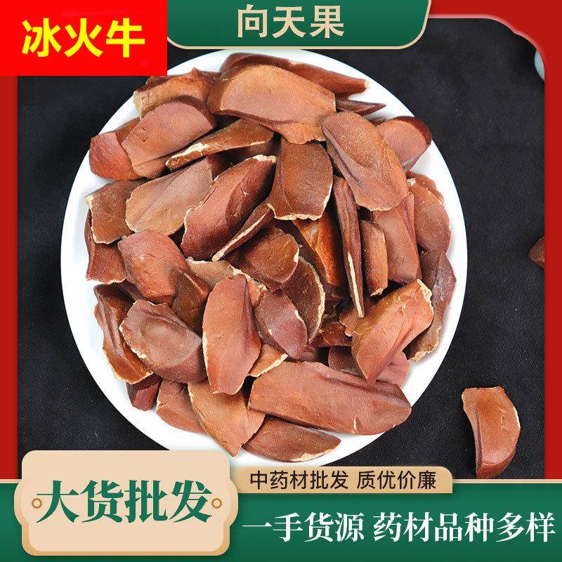 向天果 中药材所罗门新货白果 产地货源大货 向天果现货药材