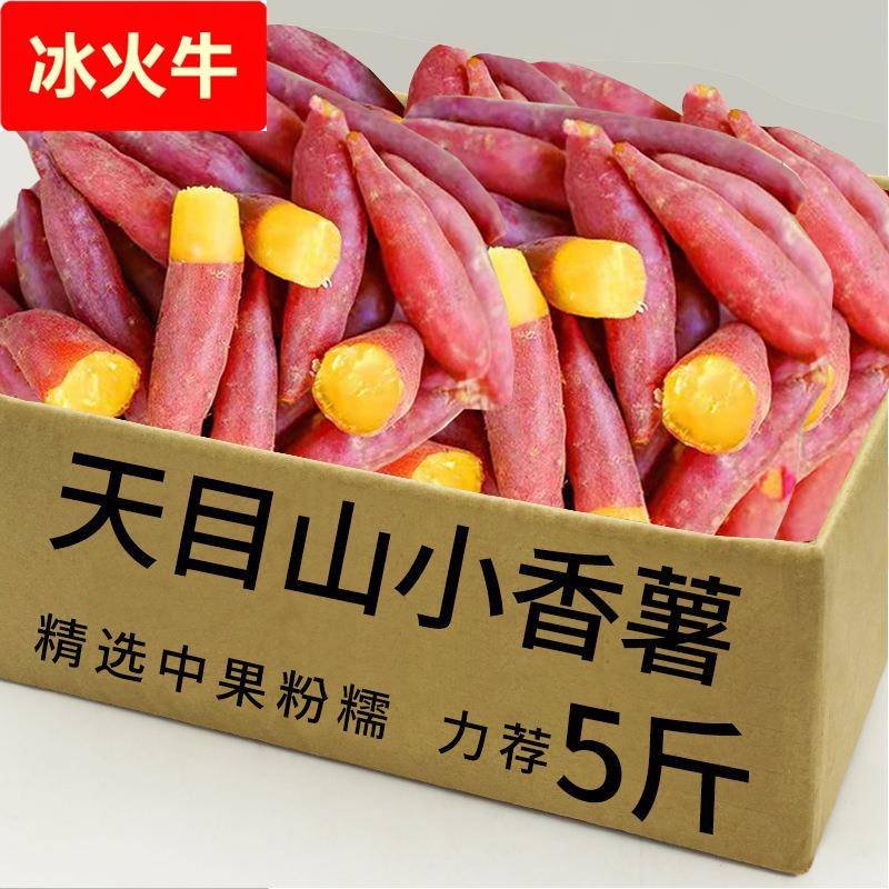 临安天目山小香薯甜黄心板栗红薯新鲜地瓜粗粮番薯山芋