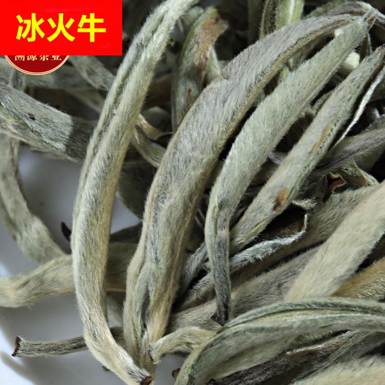 白毫银针大芽头 2025新茶云南古树白茶 景谷大白芽 茶叶散装