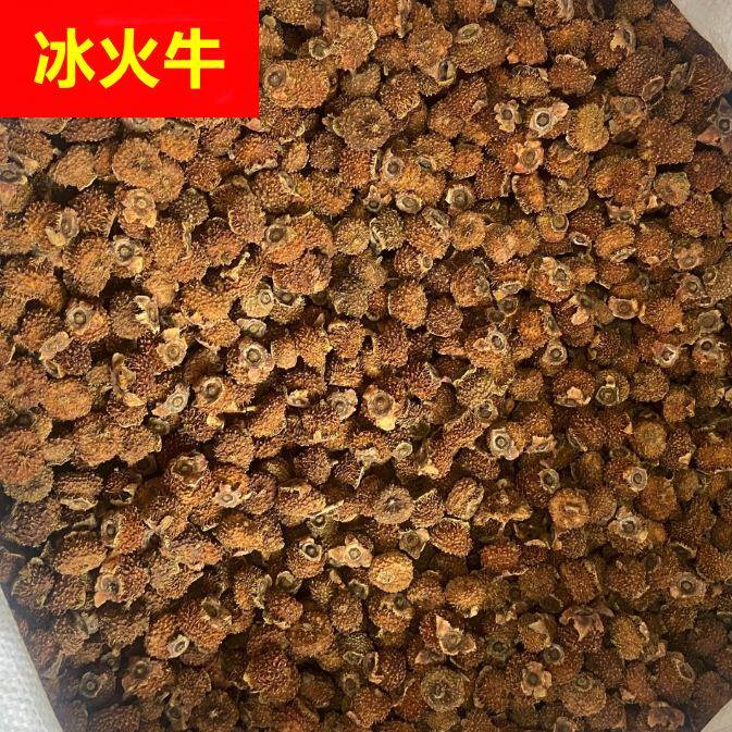 刺梨刺梨果 新货 贵州刺梨干果刺梨干 手选茶