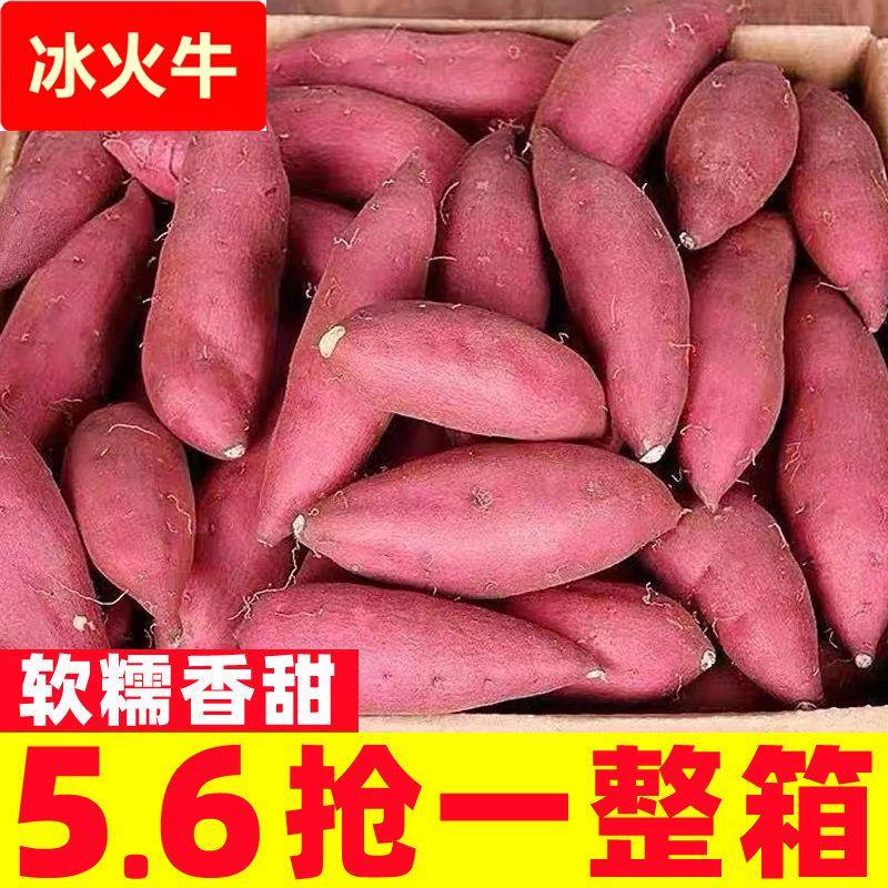 沙地蜜薯新鲜红薯10斤农家香甜薯板栗黄烤地瓜糖心烟薯25号小番薯