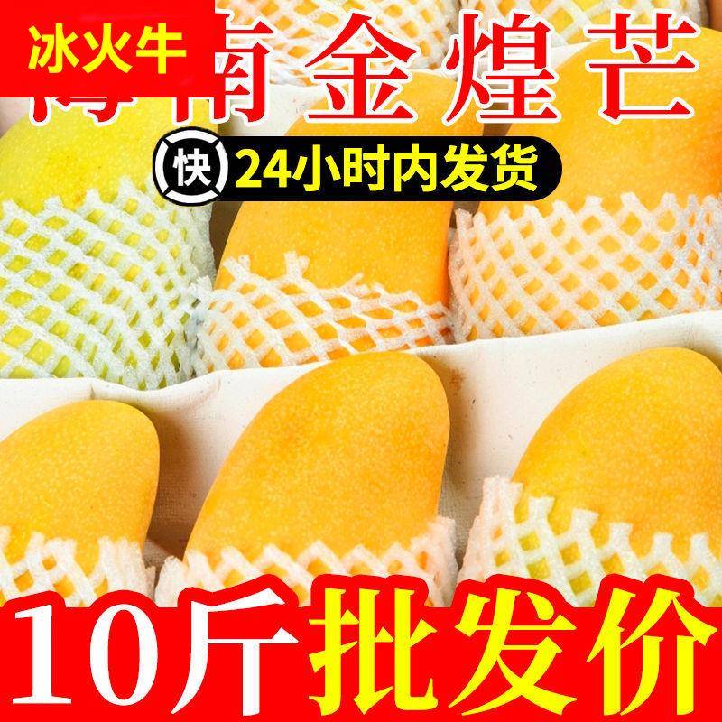 芒果现摘海南芒果树熟新鲜特大果孕妇水果金煌厂家