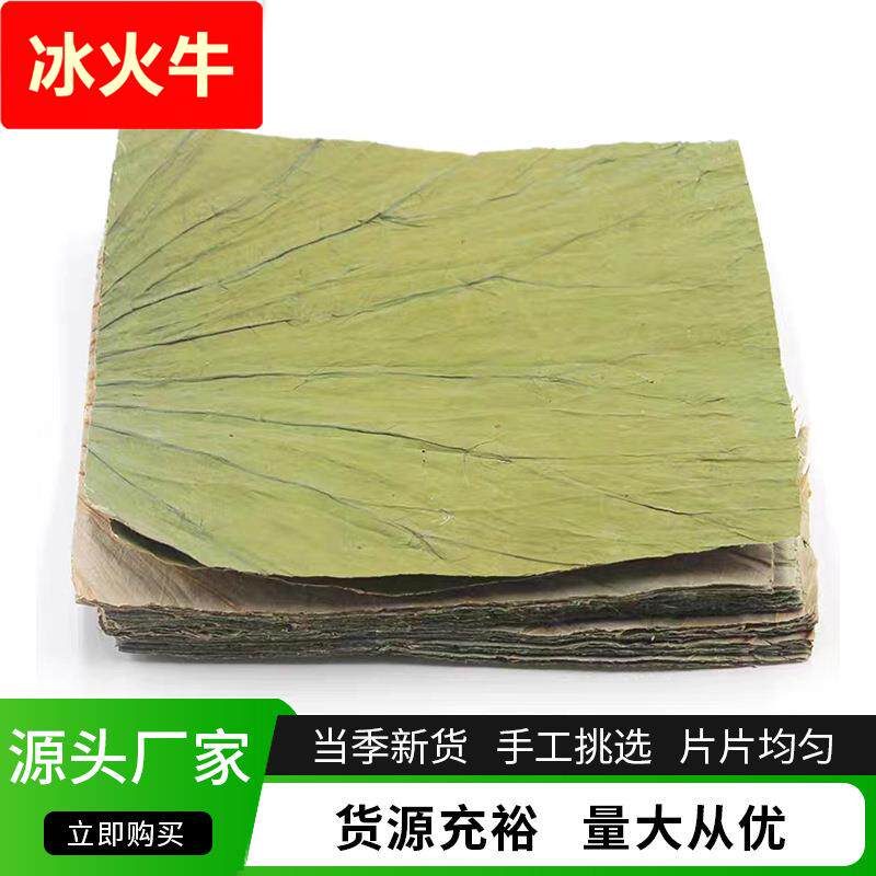 山东济宁微山湖荷叶整张新鲜商用蒸饭荷叶鸡 糯米鸡专用方形荷叶