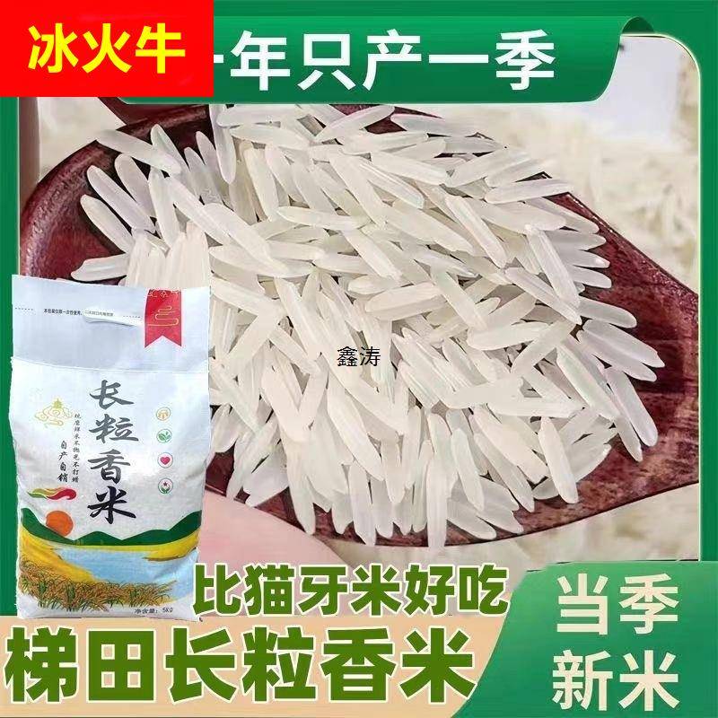 新米贵州梯田长粒香米晚稻农家米自种软米长粒香米细粒长米10斤