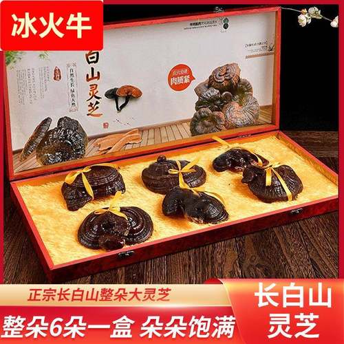 节日滋补品吉林灵芝长白山整朵干紫灵芝泡酒东北林芝大礼盒装六朵