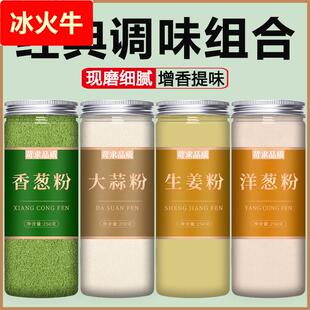 食用纯大蒜洋葱香葱生姜粉商用腌制调料葱姜蒜粉蒜香粉炒菜调味料