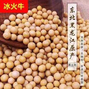 五斤东北笨黄豆新鲜豆非大豆子豆浆原材料营养早餐50克