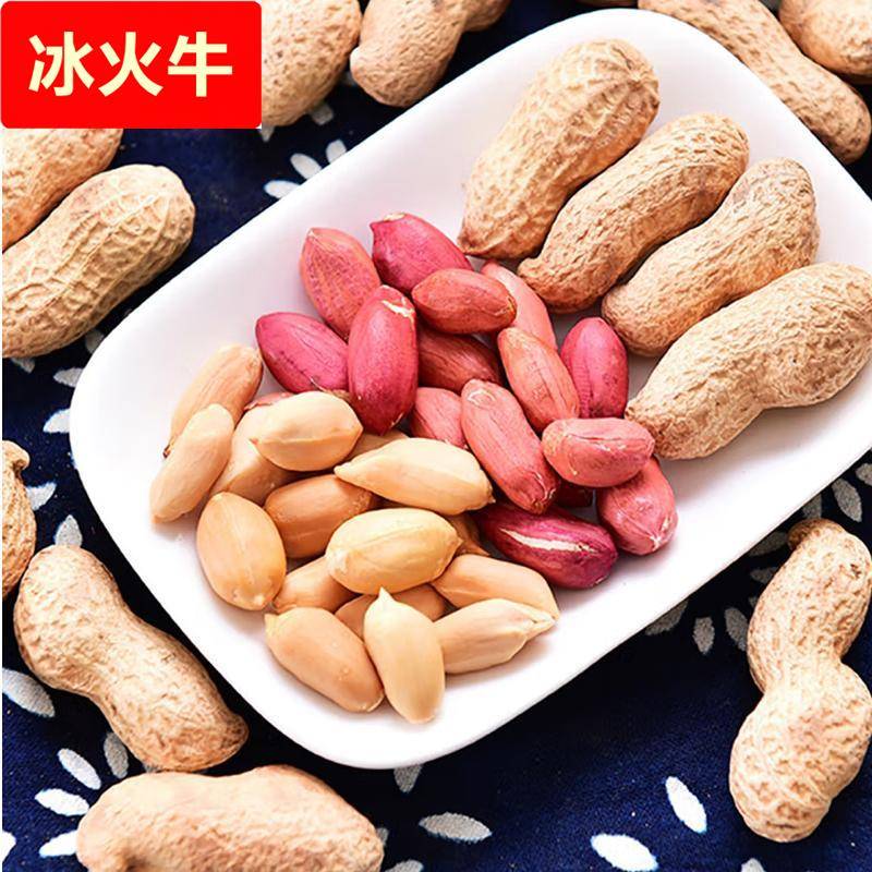 山东炒货炒熟四粒红带壳生花生农家自产新货红皮花生米原味大花生