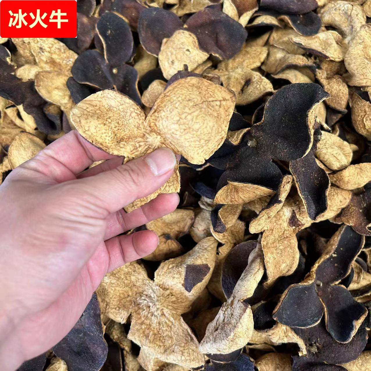 【陈皮】三瓣老陈皮散装生晒大红老陈皮