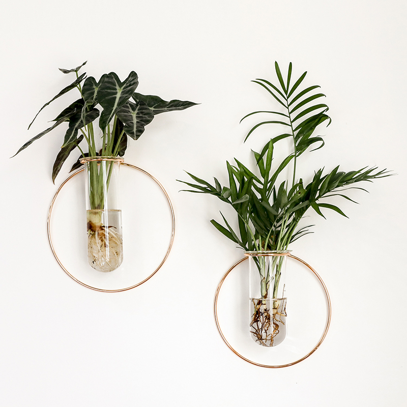 北欧几何造型轻奢金m属铁艺试管玻璃花瓶挂墙壁面上水培养花装饰