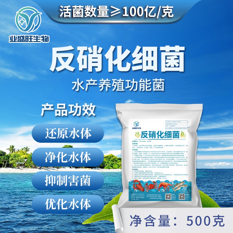100亿反硝化细菌降解亚硝酸盐氨氮总氮水产养殖用生活工业污水
