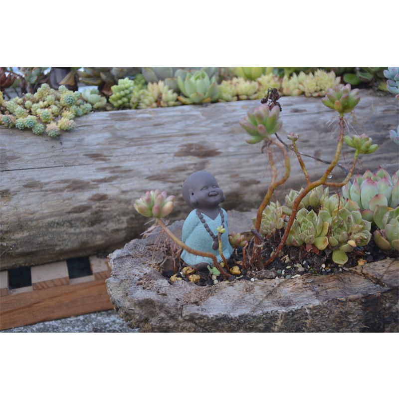 多肉花盆自然原木质树桩根花盆枯木朽木石斛田园大多肉植物花盆