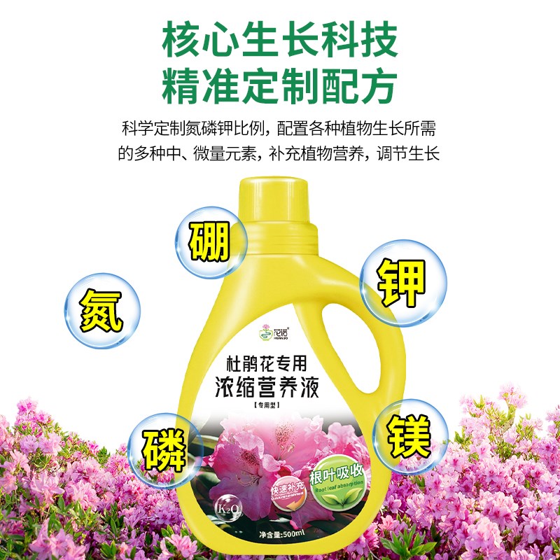 杜鹃花专用营养液叶斑病黄叶黑斑掉叶烂根养护花肥叶面肥料专用肥