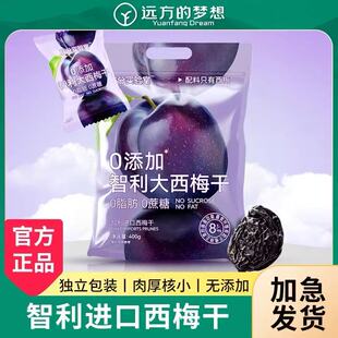 远方的梦想智利大西梅干官方正品休闲零食成分实验室好物0添加