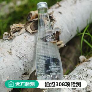 远方的梦想小兴安岭伊春白桦树汁饮品桦树水原汁原液植物饮料瓶装