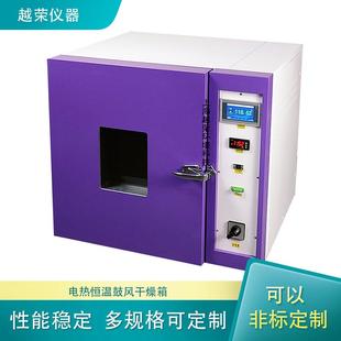 操作简单大型电热鼓风烘箱 电热恒温鼓风干燥箱立式