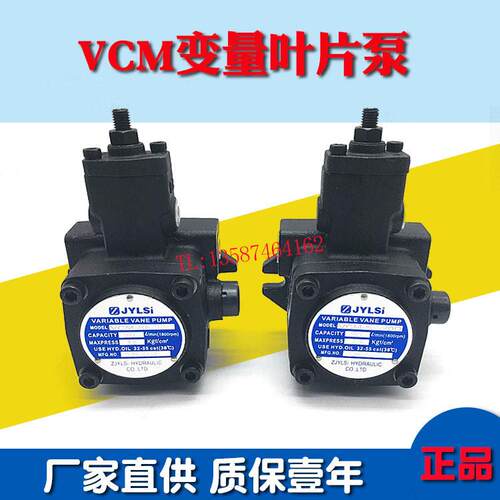 叶片液压油泵VCM-SF-12D/15/20C-10 VCM-SF-20B VCM-SF-30C/40-20