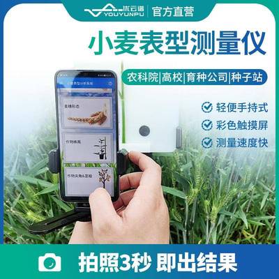 小麦表型测量仪麦穗形态测量系统便携式小麦株高穗长千粒重检测仪